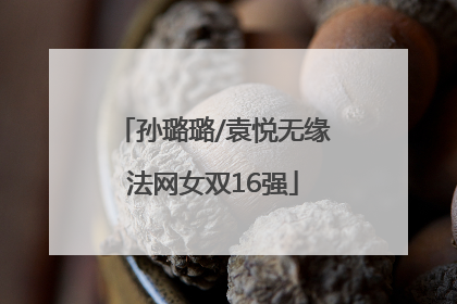 孙璐璐/袁悦无缘法网女双16强