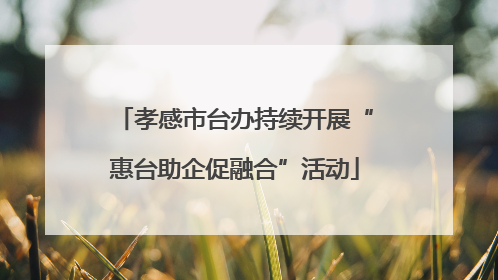 孝感市台办持续开展“惠台助企促融合”活动