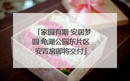 家园有期 安居梦圆 龟湖公园东片区安置房即将交付