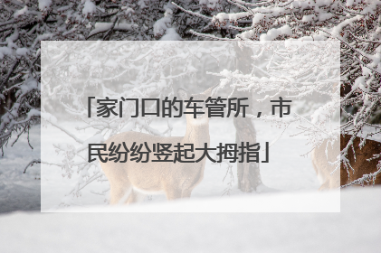 家门口的车管所，市民纷纷竖起大拇指