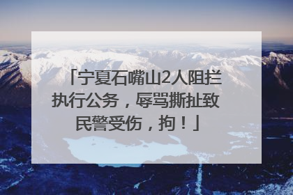 宁夏石嘴山2人阻拦执行公务，辱骂撕扯致民警受伤，拘！