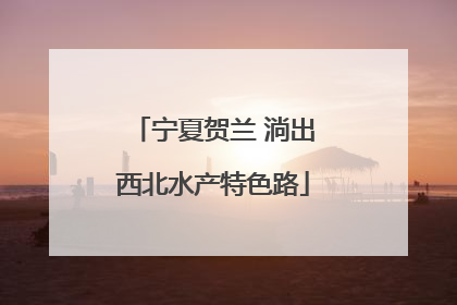 宁夏贺兰 淌出西北水产特色路
