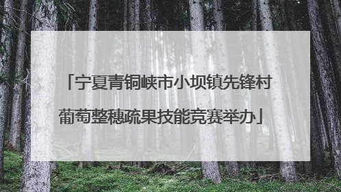 宁夏青铜峡市小坝镇先锋村葡萄整穗疏果技能竞赛举办