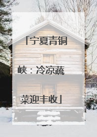 宁夏青铜峡：冷凉蔬菜迎丰收