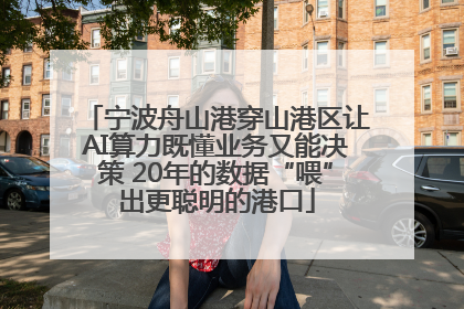 宁波舟山港穿山港区让AI算力既懂业务又能决策 20年的数据“喂”出更聪明的港口