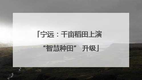 宁远：千亩稻田上演 “智慧种田” 升级
