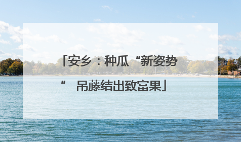 安乡：种瓜“新姿势” 吊藤结出致富果