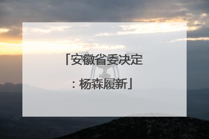安徽省委决定：杨森履新