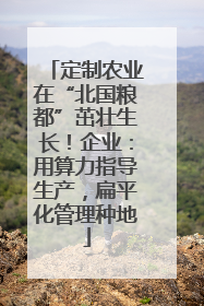 定制农业在“北国粮都”茁壮生长！企业：用算力指导生产，扁平化管理种地