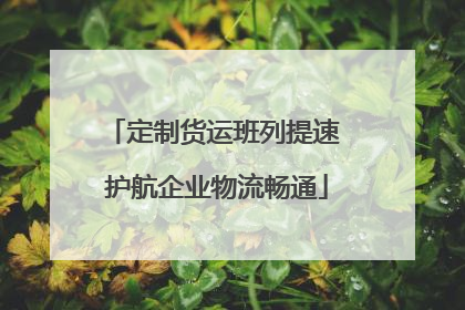 定制货运班列提速 护航企业物流畅通