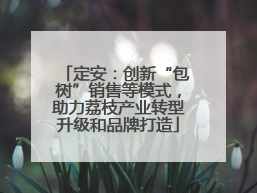 定安：创新“包树”销售等模式，助力荔枝产业转型升级和品牌打造