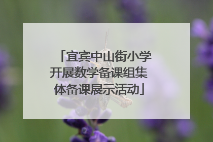 宜宾中山街小学开展数学备课组集体备课展示活动