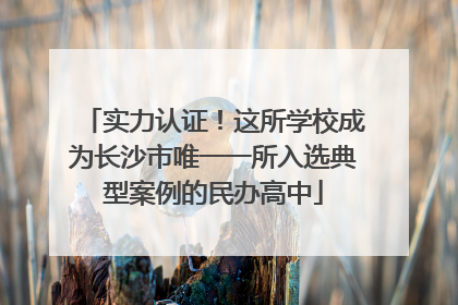 实力认证！这所学校成为长沙市唯一一所入选典型案例的民办高中