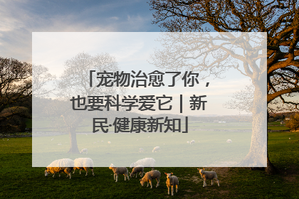 宠物治愈了你，也要科学爱它｜新民·健康新知