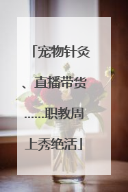 宠物针灸、直播带货……职教周上秀绝活