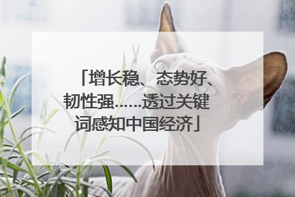 增长稳、态势好、韧性强……透过关键词感知中国经济