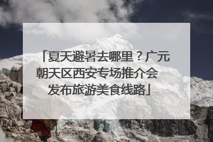 夏天避暑去哪里？广元朝天区西安专场推介会 发布旅游美食线路