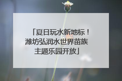 夏日玩水新地标！潍坊弘润水世界苗族主题乐园开放