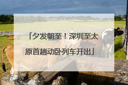 夕发朝至！深圳至太原首趟动卧列车开出