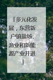 多元化发展，东营新户镇盐场、渔业和新能源产业并进