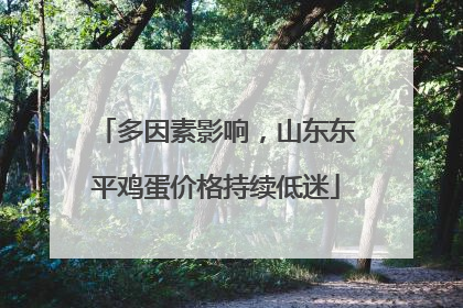 多因素影响，山东东平鸡蛋价格持续低迷
