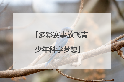 多彩赛事放飞青少年科学梦想