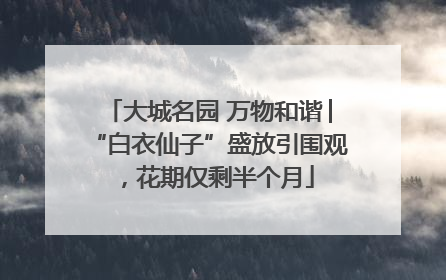 大城名园 万物和谐│“白衣仙子”盛放引围观，花期仅剩半个月