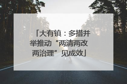 大有镇：多措并举推动“两清两改两治理”见成效