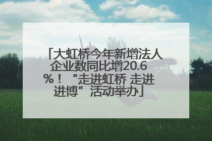 大虹桥今年新增法人企业数同比增20.6%！“走进虹桥 走进进博”活动举办