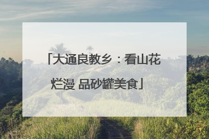 大通良教乡：看山花烂漫 品砂罐美食