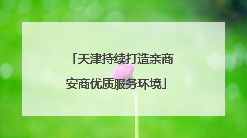 天津持续打造亲商安商优质服务环境