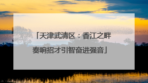 天津武清区：香江之畔奏响招才引智奋进强音