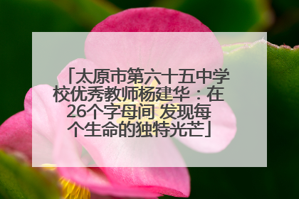 太原市第六十五中学校优秀教师杨建华：在26个字母间 发现每个生命的独特光芒
