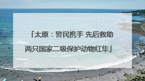 太原：警民携手 先后救助两只国家二级保护动物红隼