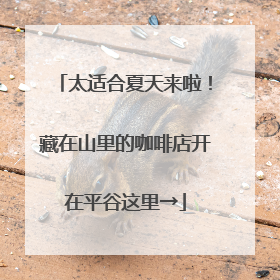 太适合夏天来啦！藏在山里的咖啡店开在平谷这里→