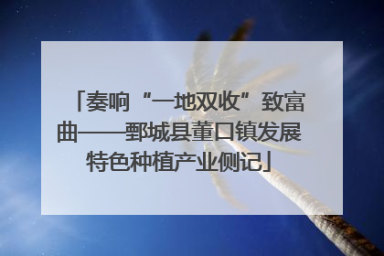 奏响“一地双收”致富曲——鄄城县董口镇发展特色种植产业侧记