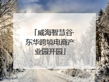 威海智慧谷·东华跨境电商产业园开园
