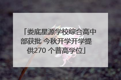 娄底星源学校综合高中部获批 今秋开学开学提供270 个普高学位