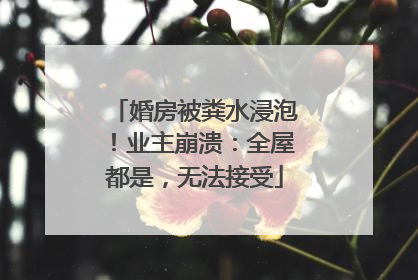 婚房被粪水浸泡！业主崩溃：全屋都是，无法接受