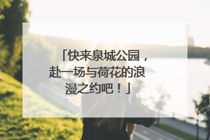 快来泉城公园，赴一场与荷花的浪漫之约吧！