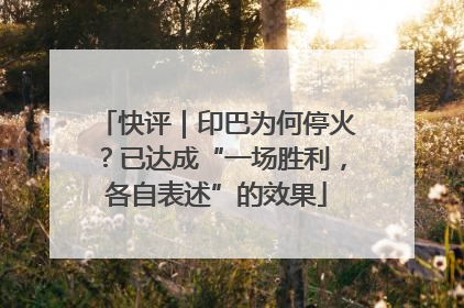 快评｜印巴为何停火？已达成“一场胜利，各自表述”的效果