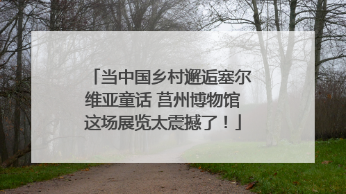 当中国乡村邂逅塞尔维亚童话 莒州博物馆这场展览太震撼了！