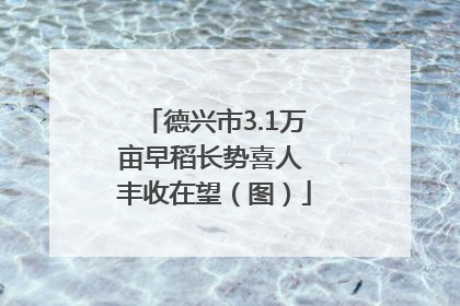 德兴市3.1万亩早稻长势喜人 丰收在望（图）