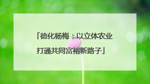 德化杨梅：以立体农业打通共同富裕新路子