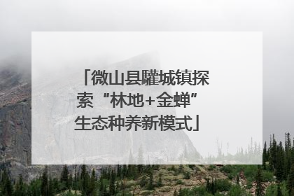 微山县驩城镇探索“林地+金蝉”生态种养新模式