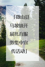 微山县马坡镇开展托育服务集中宣传活动