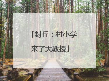 封丘：村小学来了大教授