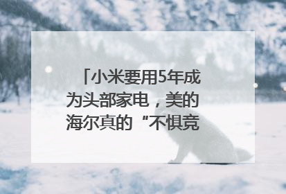 小米要用5年成为头部家电，美的海尔真的“不惧竞争”？｜热财经