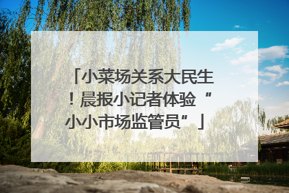 小菜场关系大民生！晨报小记者体验“小小市场监管员”