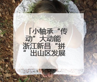 小轴承“传动”大动能 浙江新昌“拼”出山区发展新路